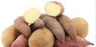 The role of the starch potatoes in animal feed